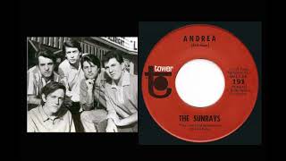 The Sunrays - Andrea