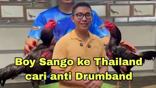 Boy Sango to Thailand looking for anti Koy Drumband.