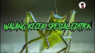 DAHSYAT!!!MASTERAN WALANG KECEK sesuai PENGALAMAN( Baca Di Deskripsi Ya ) Video Jeda 1 menit