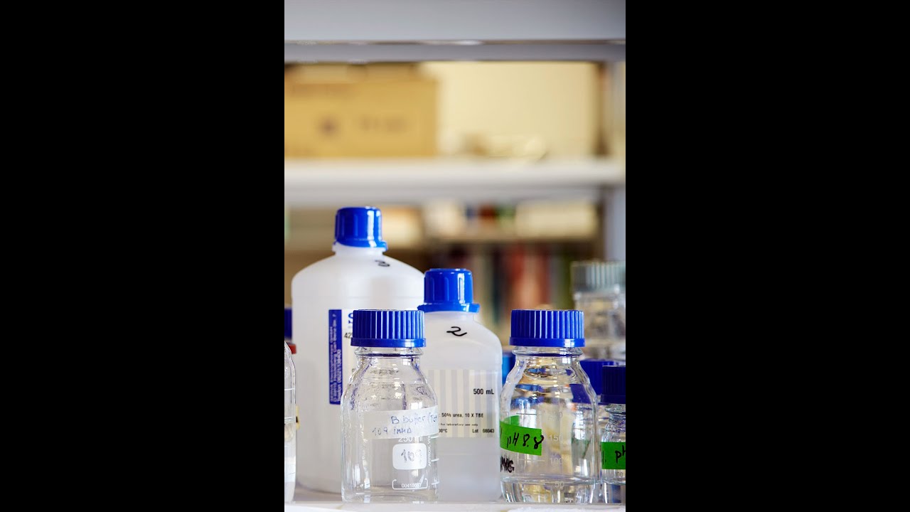 Global Bio-based Polymers Market 2015-2019