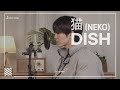 DISH - 猫 (고양이, neko) | Cover by. MinJae(ミンジェ)