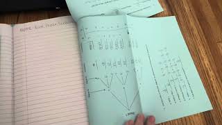 Interactive Notebook Check 1