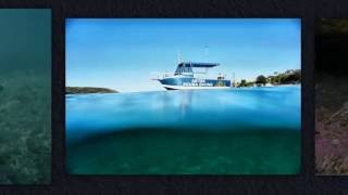 Magic Point Boat Dive