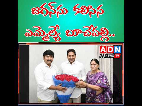 తాడేపల్లి లో మాజీ ముఖ్యమంత్రి YS.జగన్మోహన్ రెడ్డిని మర్యాద పూర్వకంగా కలిసిన దర్శి MLA బూచేపల్లి..