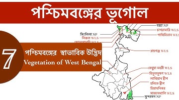 Vegetation & Forest of West Bengal । পশ্চিমবঙ্গের স্বাভাবিক উদ্ভিদ এবং অরণ্য । National Parks of WB