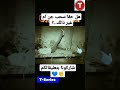 سحب الجن للانس الخوف السحر الاسود Tiktok Shorts السحر تك توك المشاهير 
