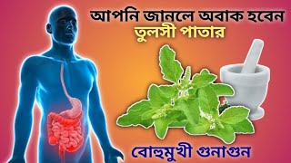 Tulsi patar upokarita|তুলসী পাতার উপকারিতা|tulsi patar gunagun screenshot 5