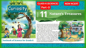Nature’s Treasures |Chapter - 11 | Class 6 Science |CURIOSITY | Part-3 #class6thscience