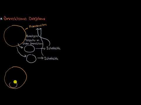 Video: Örnekleme teoremi ile ne demek istiyorsun?