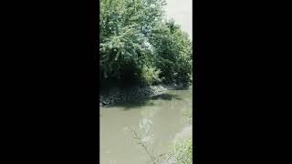 Dardenne Creek Blueway: Phase 2