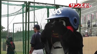 ヤクルト・つば九郎がカメラマン＆歌手に大変身！