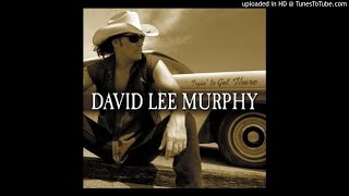 Watch David Lee Murphy I Like It Already video