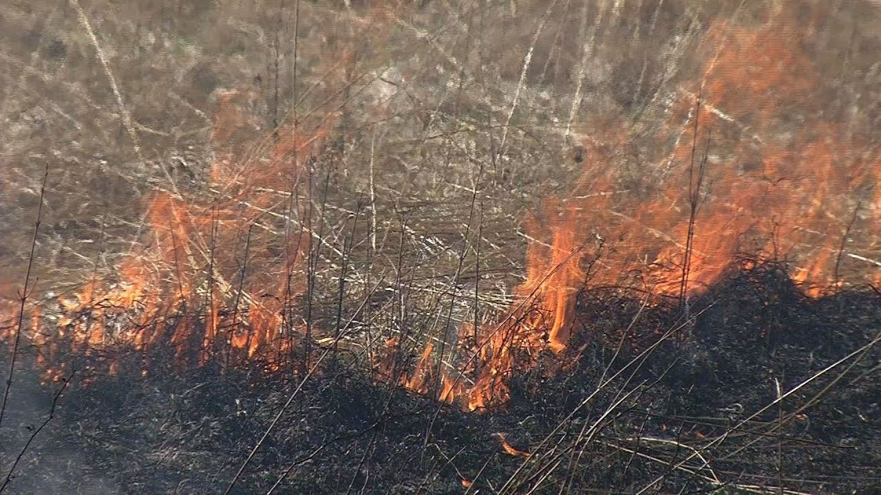 three-rivers-park-district-begins-controlled-burns-youtube
