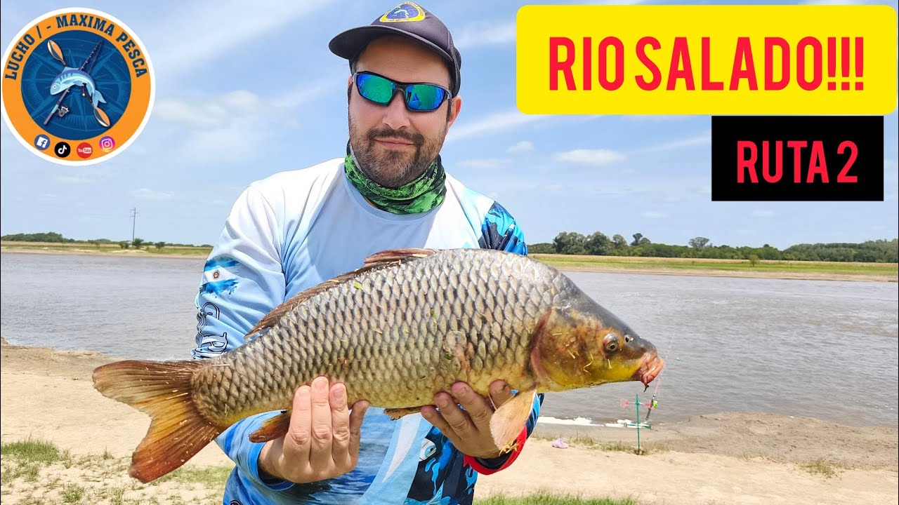 RIO SALADO ,RUTA 2, RECREO EL PICURU. VOLVIÓ LA PESCA EN EL SALADO!!! 🎣 🎣