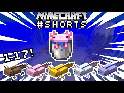 How to Find Axolotls in Minecraft 1.17 #shorts