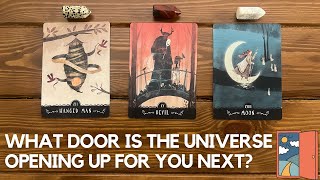 What Door Is The Universe Opening Up For You Next? ✨🚪🪐✨ | Timeless Reading