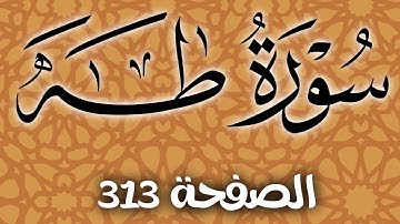 سورة طه الصفحة 313 مع مؤشر القلم