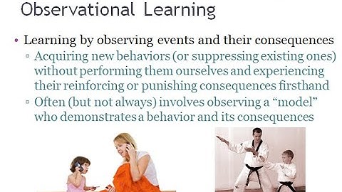PSYC 370 Video Lecture - Introduction to Observational Learning
