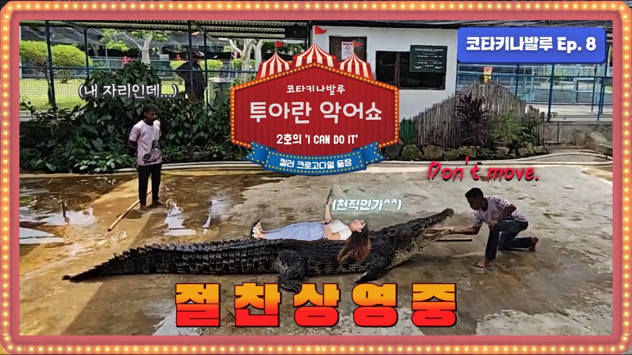[코타키나발루 Ep.8] 야생 물왕도마뱀 발견! 악어쇼에 새끼악어까지?! 🐊🦎 