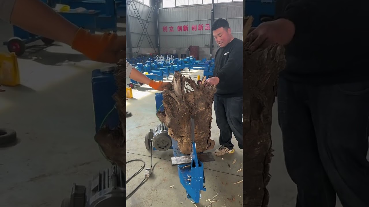 Reinforced hydraulic wood splitter, cross blade splits a 45cm diameter tree root into four pieces