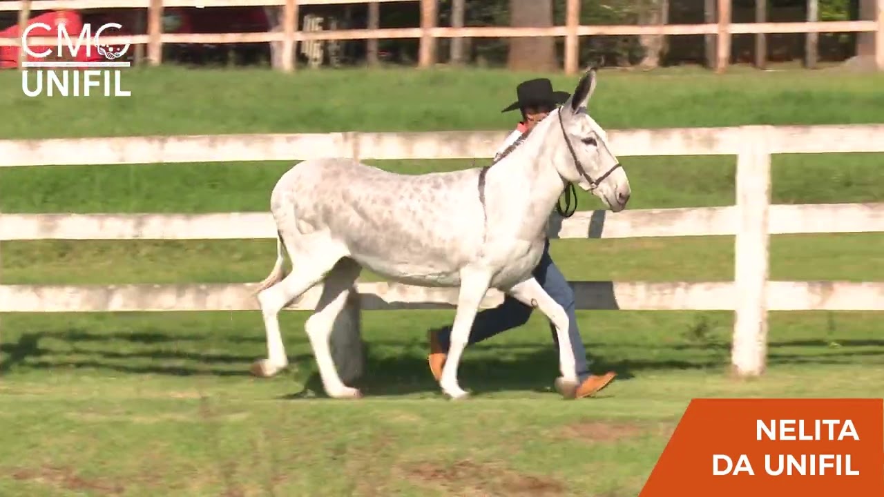 05  NELITA DA UNIFIL