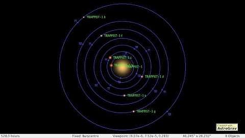 The Exoplanets Orbiting TRAPPIST-1
