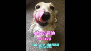 20210319 《心靈的冒險 / 王心凌》長笛版 flute cover by 科瑞
