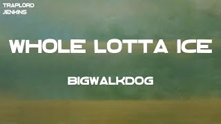 BigWalkDog - Whole Lotta Ice (feat. Lil Baby & Pooh Shiesty) (Lyrics)