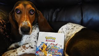 Pokemon XY Evolutions Booster Box Opening