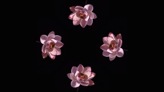 Blooming Flowers - Pyramid Hologram Screen Down screenshot 5