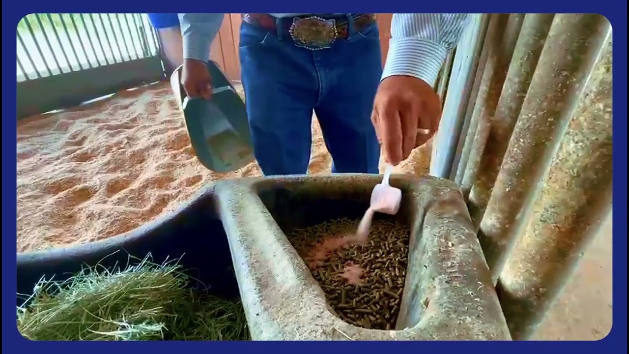 How to use JustiFLY® Equine 8-8-8™