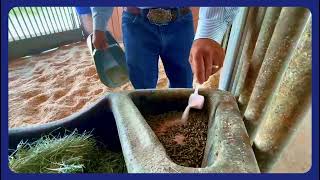 How to use JustiFLY® Equine 8-8-8™