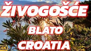 Walk Tour 🌞Živogošće Blato🌞4K Croatia