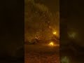 Kantara Climax #trendingreels #trendingshorts #trendingvideo #shorts