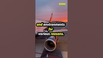 ✈️💭 "Dream Takeoff: Decoding Dreams of Boarding a Plane! 🌌🔍  #dreamsymbols #dream #dreammeaning