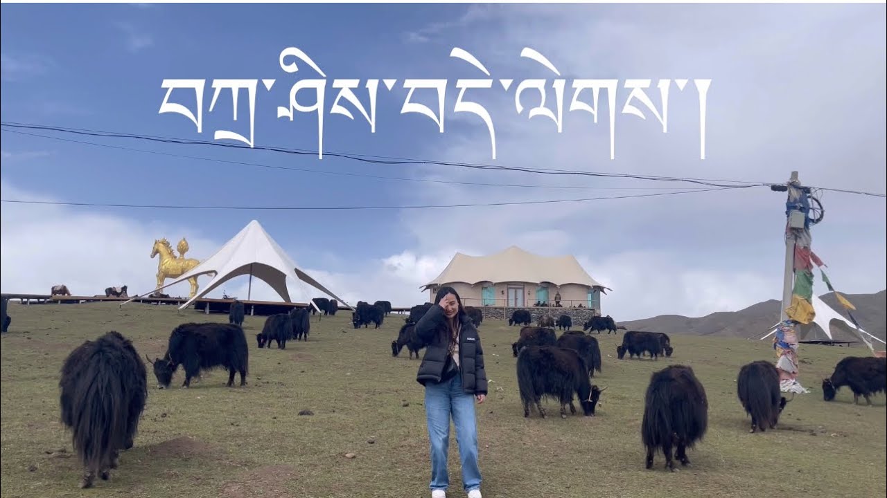 Presenting you my beautiful homeland Tibet.