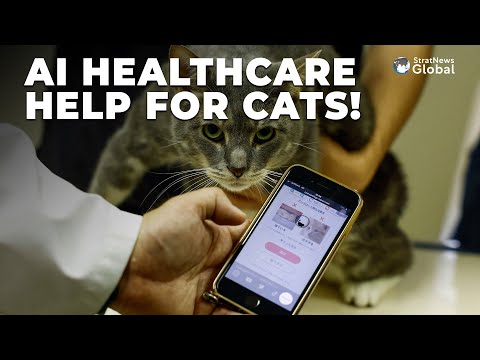 How People In #Japan Are Turning To #Artificial #Intelligence To Get #Healthcare For Their #Cats
