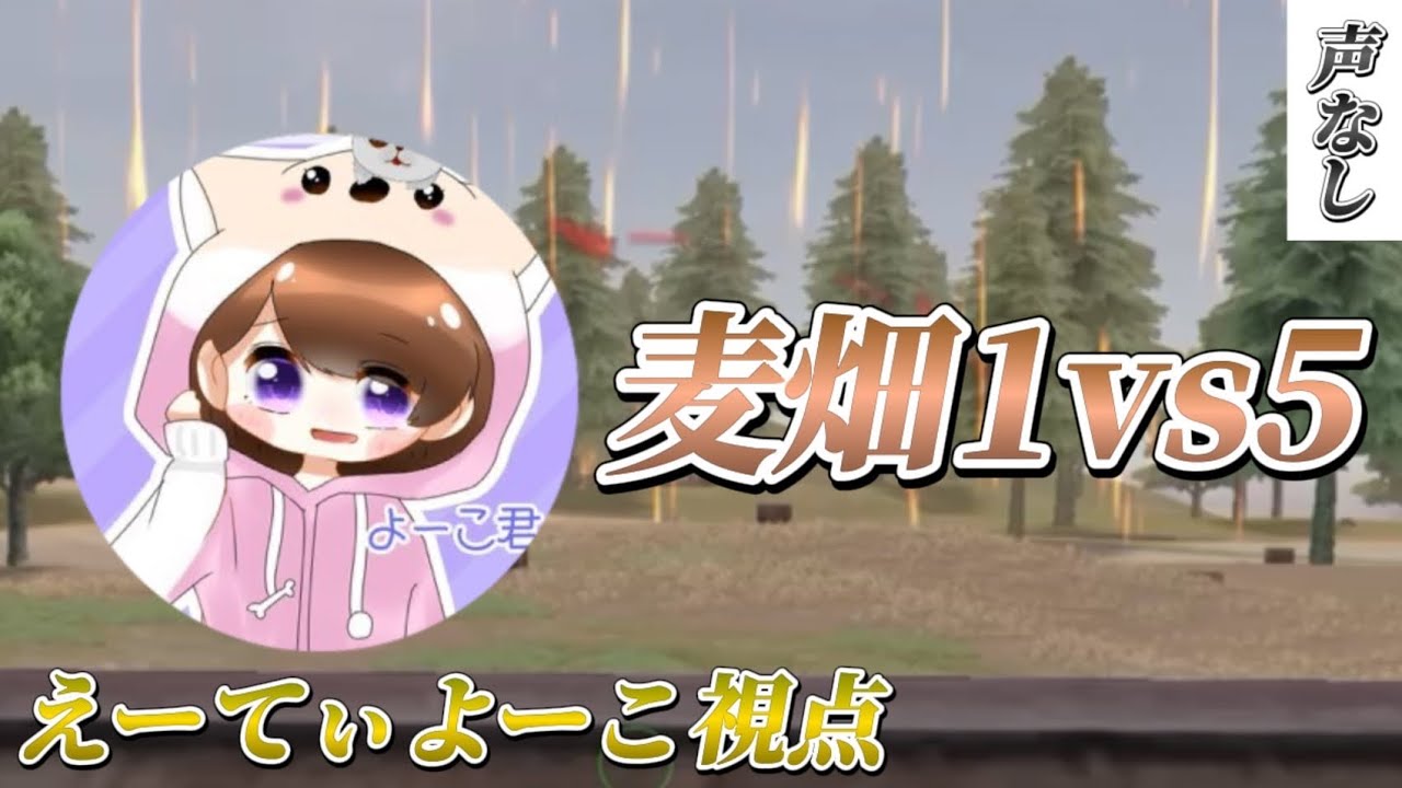 【荒野行動】Special match 〈麦畑1vs5〉【えーてぃよーこ視点】