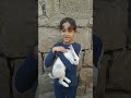 أرنب يعني  معنى ارنب بالانجليزية