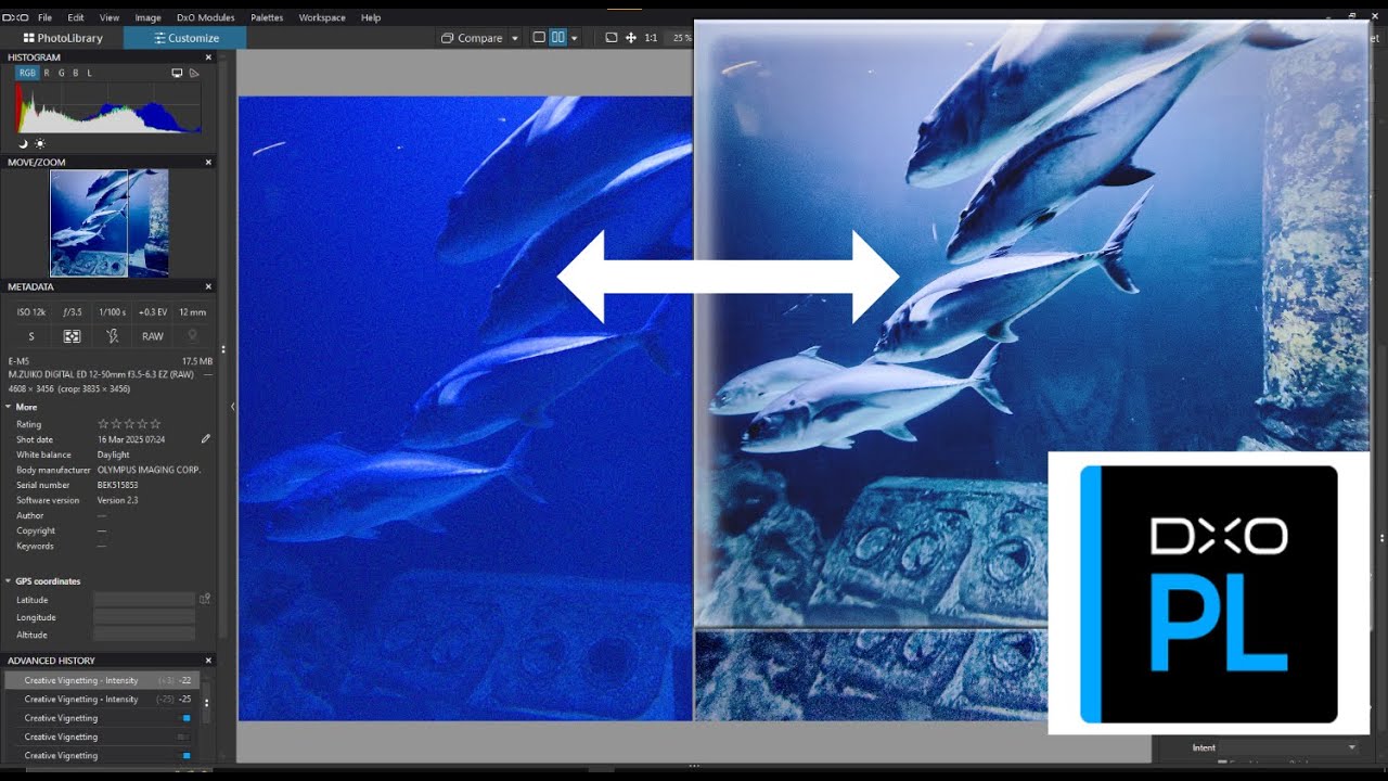 Simple Photo Edit Workflow in DXO Photolab 8 with New Update. @dxo ...