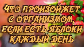 ПОЛЬЗА ИЛИ ВРЕД ОТ ЯБЛОК | ЧЕМ ПОЛЕЗНЫЕ ЯБЛОКИ