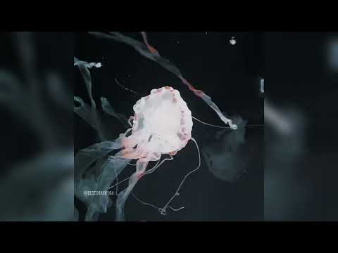 Binary Data Slowed Reverb - HDN