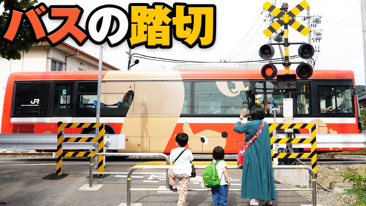 バスの踏切を見てきた