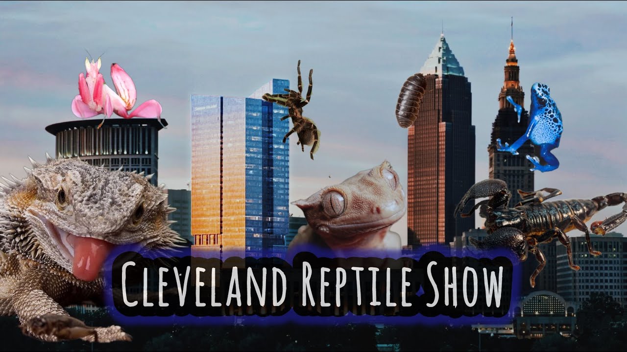 Cleveland Reptile Show