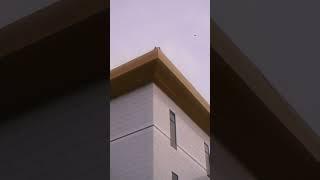 I Took A Photo Of Every Single Building Around The Block And Heres The Montage.