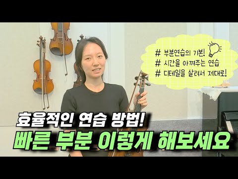 [Violin Duo + Piano] 캐논 Canon (스즈키1권 수준의 편곡) - Johann Pachelbel