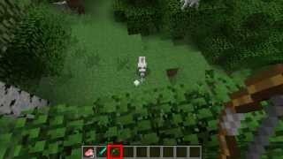 Hypercam 2 Recorder Testing Quality Minecraft