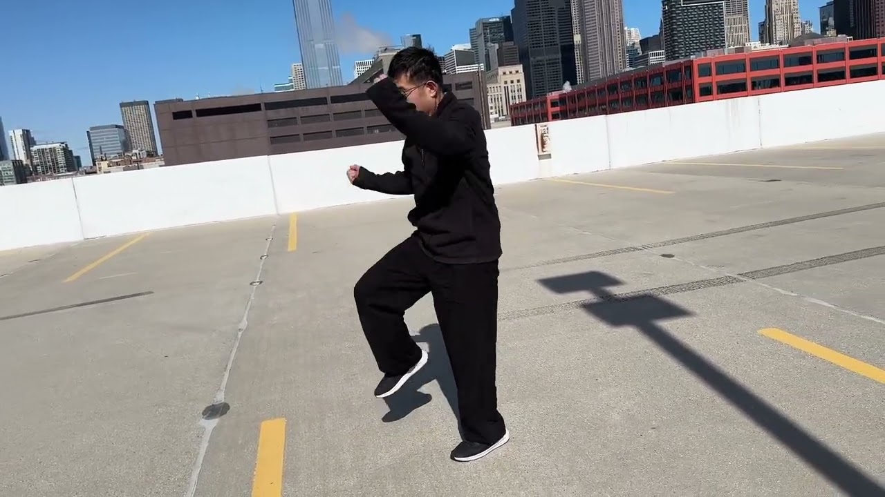 Chen style Taiji (Tai-Chi) 48 Sanshou or Sanda