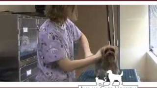Animal Care Hospital in Cedar Rapids, IA