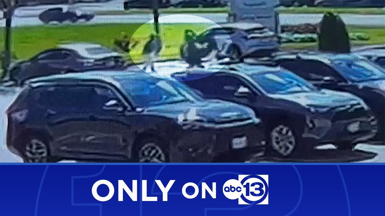 16-year-old arrested for allegedly carjacking woman at her place of work in Katy, deputies say